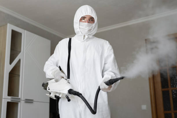 Best Mold Remediation for Healthcare Facilities in Ardmore, TN